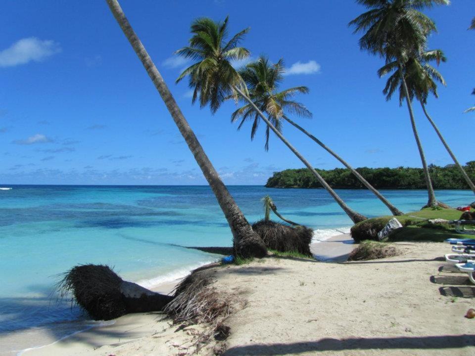 Gecko Azul Apartment Las Galeras Exterior photo